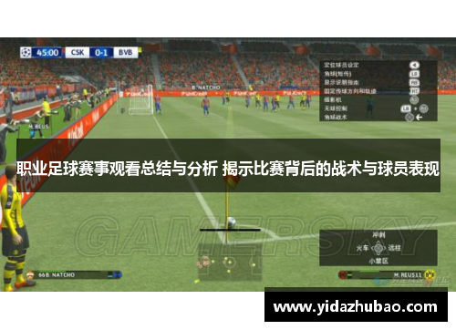职业足球赛事观看总结与分析 揭示比赛背后的战术与球员表现