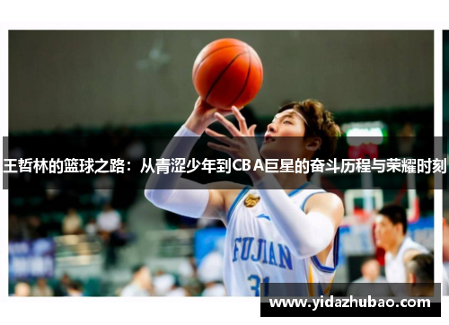 王哲林的篮球之路：从青涩少年到CBA巨星的奋斗历程与荣耀时刻