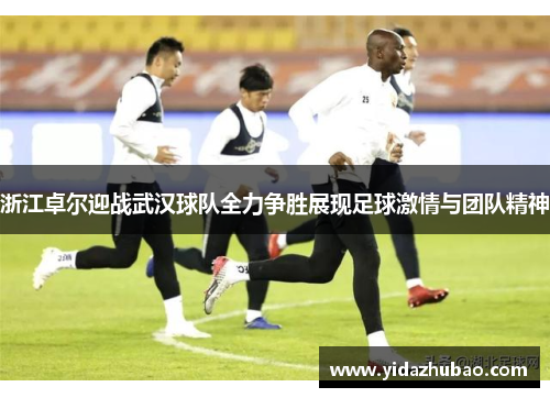 浙江卓尔迎战武汉球队全力争胜展现足球激情与团队精神